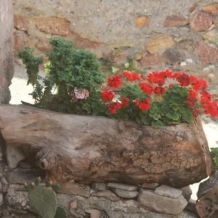 Holiday home Casa Capitana